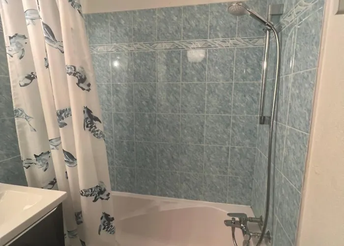 Centre -les Hauts De Lerins 公寓 *