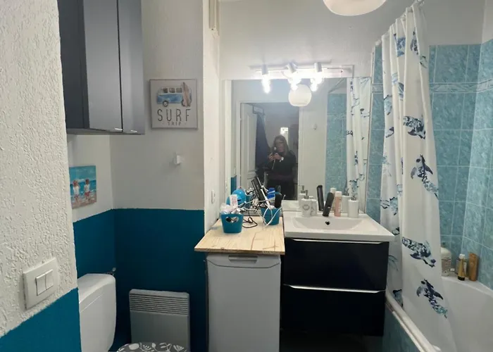 公寓 Centre -les Hauts De Lerins *